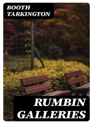 cover image of Rumbin Galleries